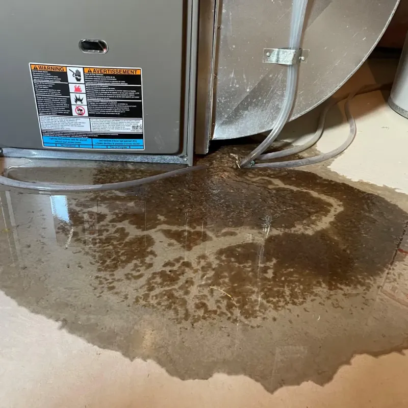 Appliance Leak Cleanup in Spotswood, NJ